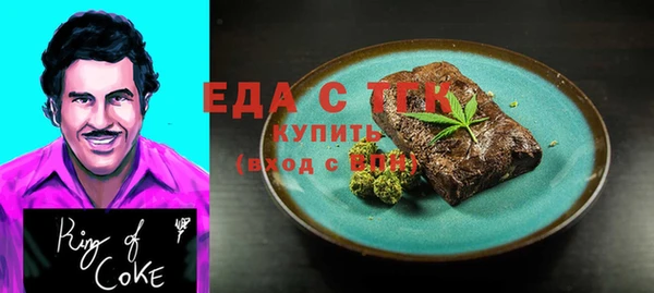 индика Осташков
