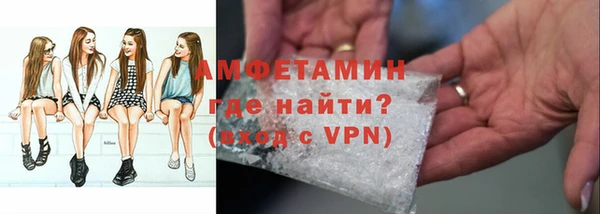 индика Осташков
