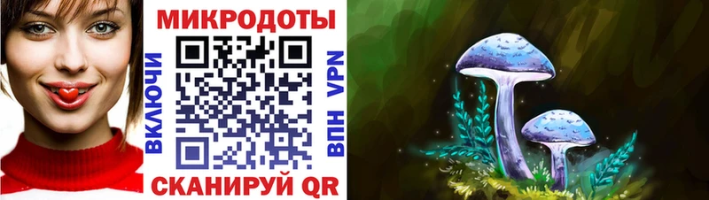 Галлюциногенные грибы GOLDEN TEACHER  где найти наркотики  Шелехов 